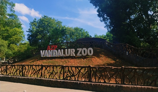 Featured Image of Vandalur Zoo